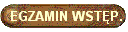 EGZAMIN WSTP.