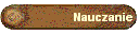 Nauczanie